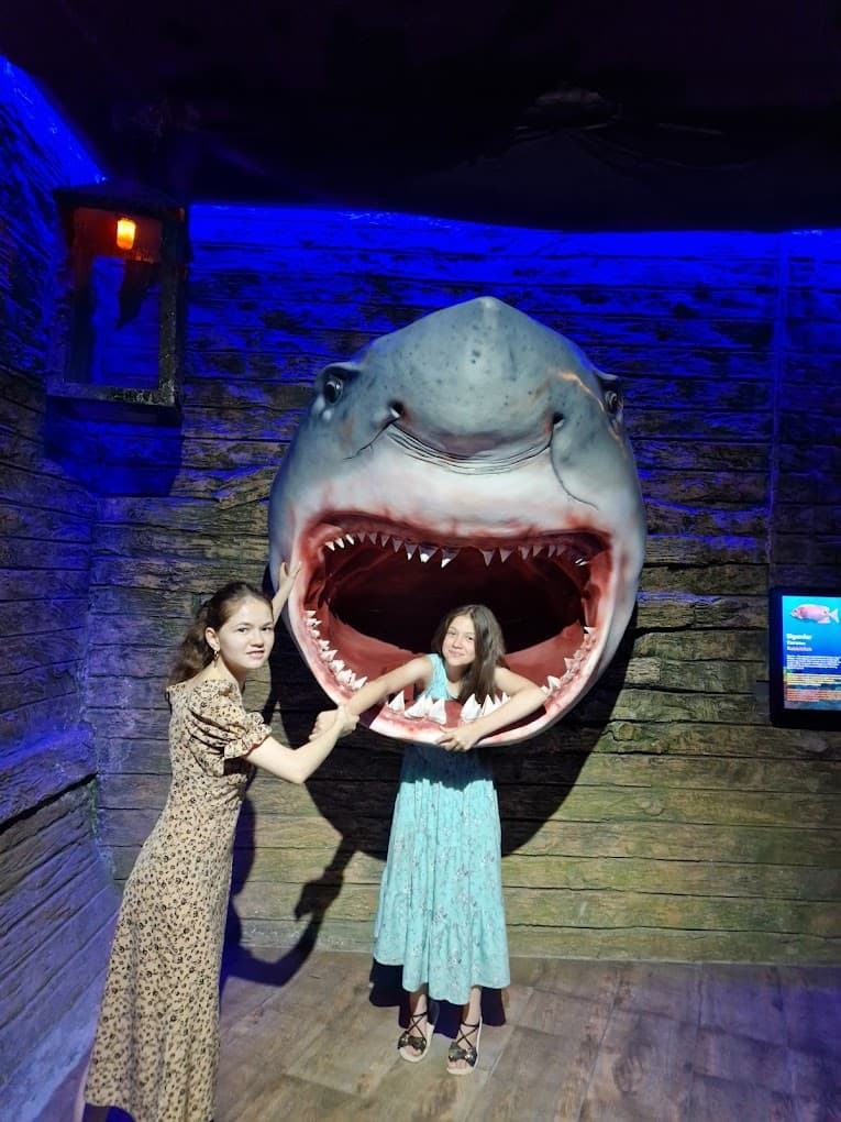 Magic Aquarium